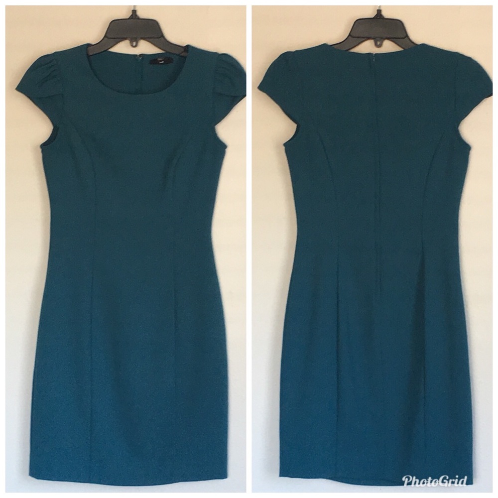 H&M Tulip Sleeve Sheath Dress